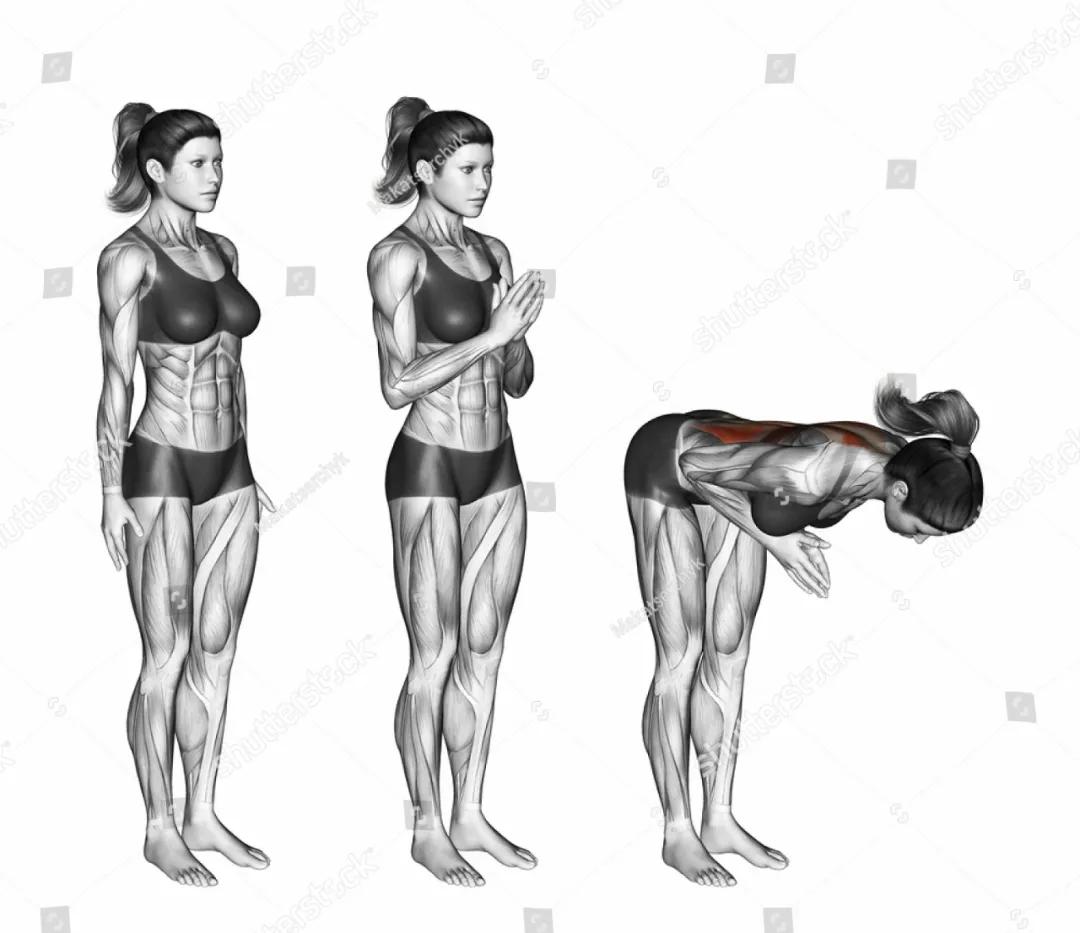 放松肌肉的动作图,各个肌肉的放松方法