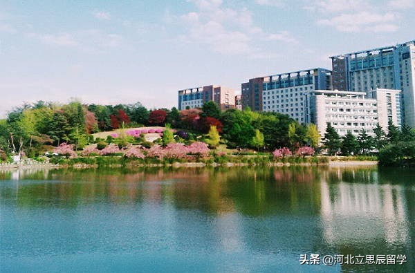 为美术艺术生私人订制的学校——韩国建国大学