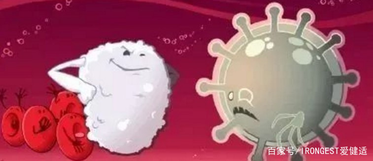 你知道益生菌的好处么,有人知道益生菌能提高免疫力吗