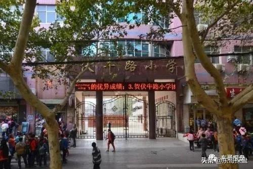 郑州公立小学学校排名,郑州小学实力排名前十名