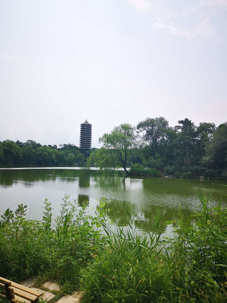 漫步北大校园,北大印象图片