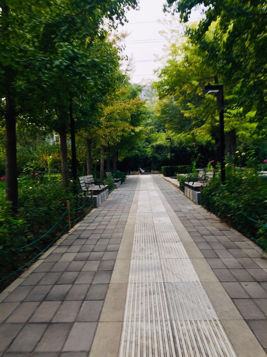 北京庆丰公园，有历史典故，能晨跑健身、遛弯散心的3*级A**景区