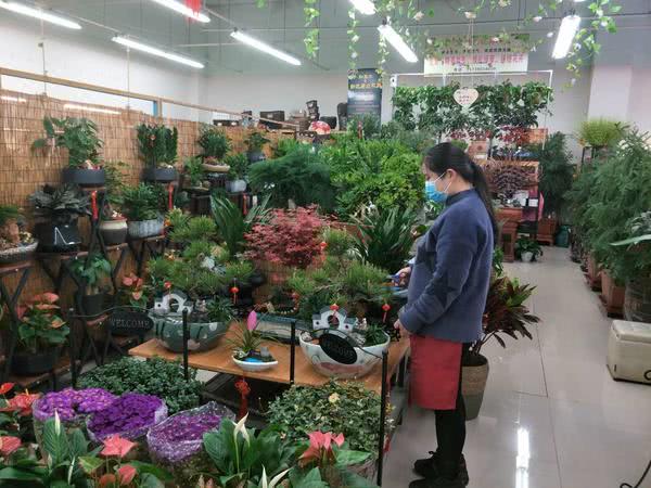 郑州几大花卉市场,郑州花卉市场批发各种花价格