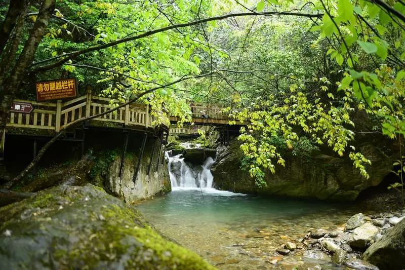 九峰源丨千年神农架，情系女儿城