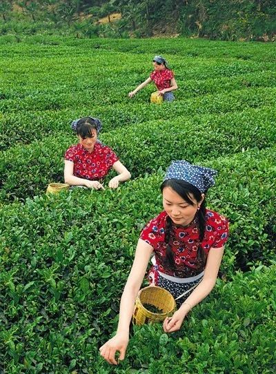 四川普贤菩萨攻略,四川峨眉山普贤菩萨最灵的寺庙