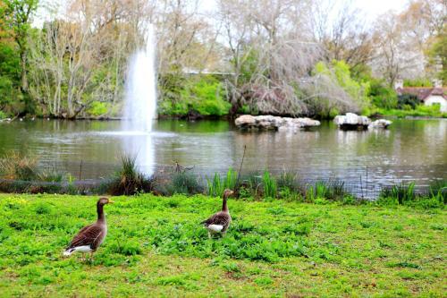 在阿姆斯特丹转机去英国攻略,第一次去英国需要什么手续