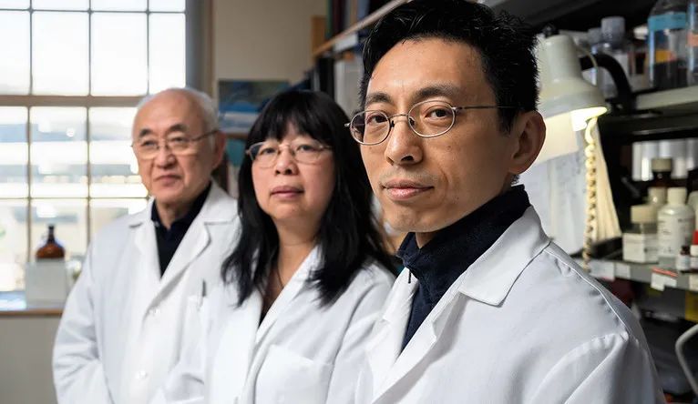 耶鲁药理学教授郑永齐：古老中药成为“解锁”癌症治疗的新可能