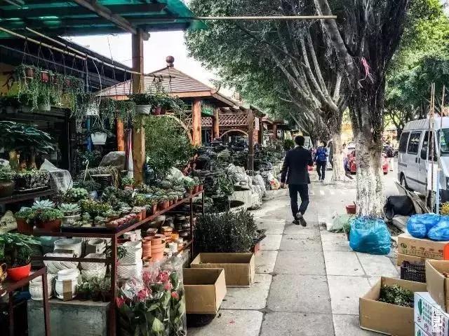 4轨交汇！芳村将华丽大变身！但老芳村正在慢慢消失…