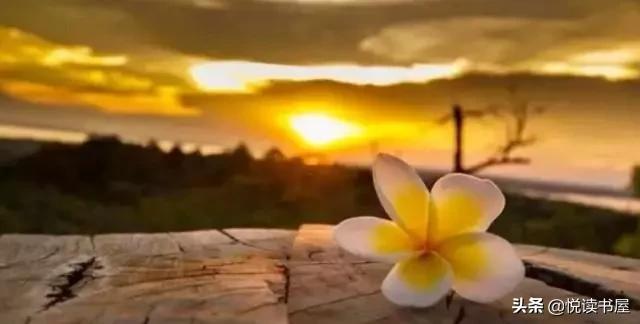 乔布斯最后一段话值得深思,乔布斯临终遗言值得深思