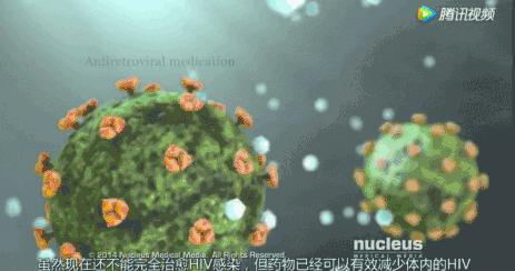 蔡卫平艾滋病专家,艾滋病专家蔡卫平对窗口期的看法