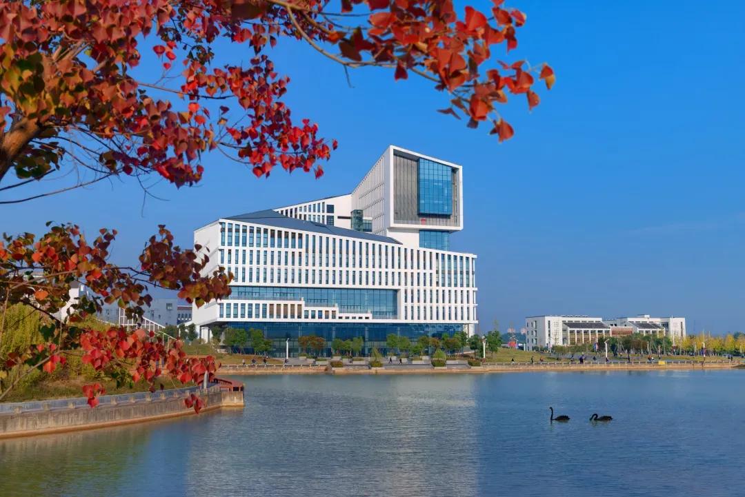 安徽合肥大学二本院校,安徽二本高校