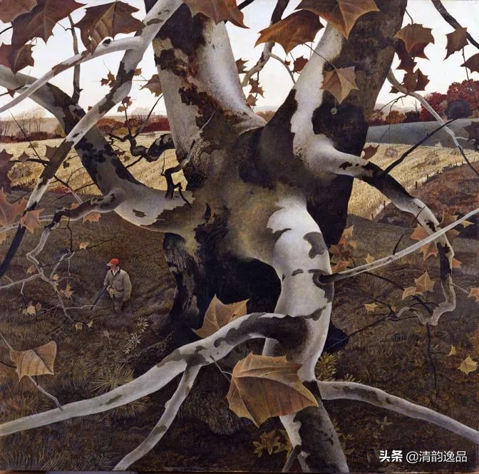 类似安德鲁怀斯的画家,安德鲁怀斯画家视频