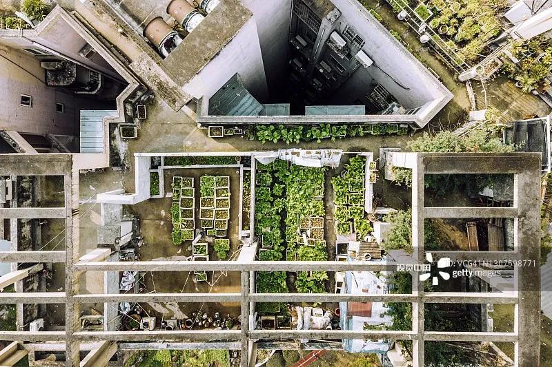 你买的厨余粉碎机，粉碎的只是你的钱包