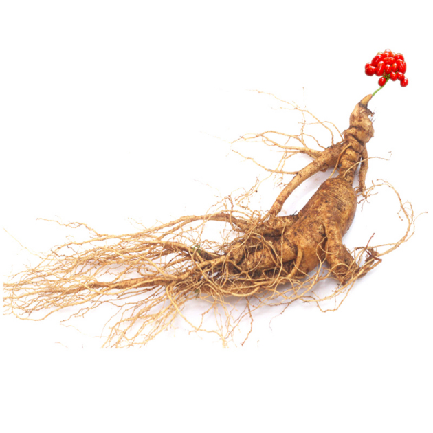 吉林长白山人参价格,长白山哪里的人参最好