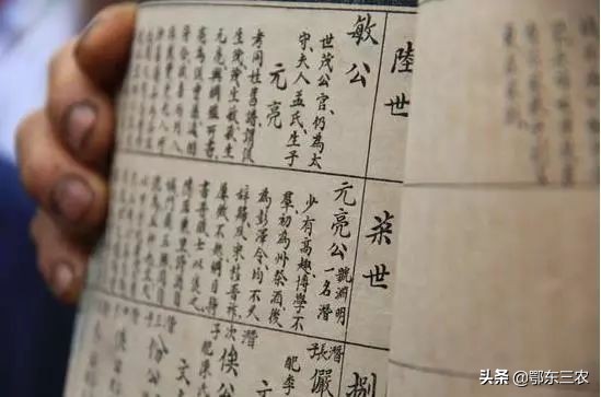 家谱排列用什么格式好,家谱族谱怎么排列得好