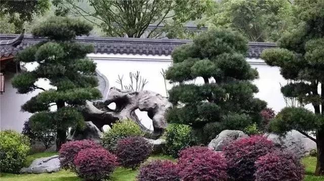 别墅庭院景观石设计,别墅庭院景观设计要点及绿化