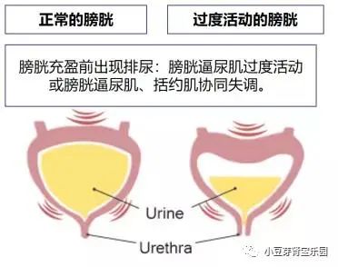 小朋友如何补肾,小孩从小尿多吃什么调理最好