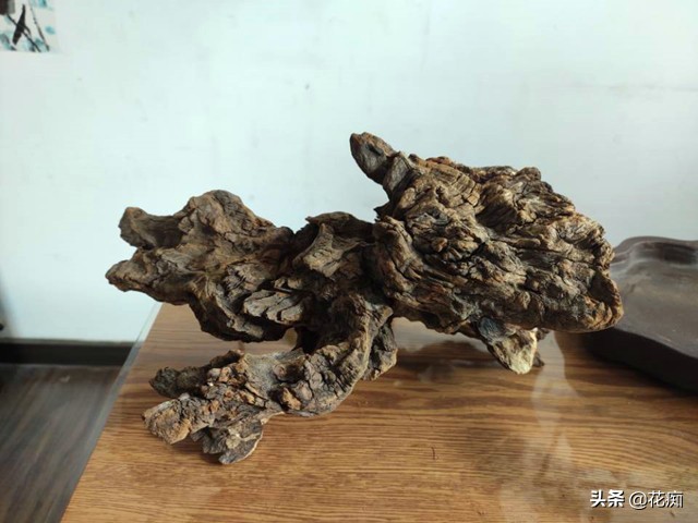 文竹菖蒲盆景,文竹菖蒲假山盆景图片大全