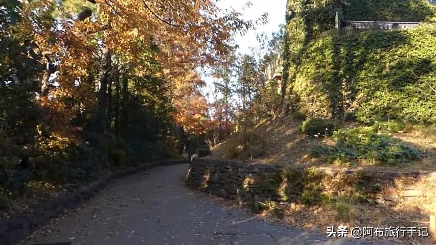 东京三鹰之森吉卜力美术馆怎么去,三鹰之森吉卜力美术馆到成田机场