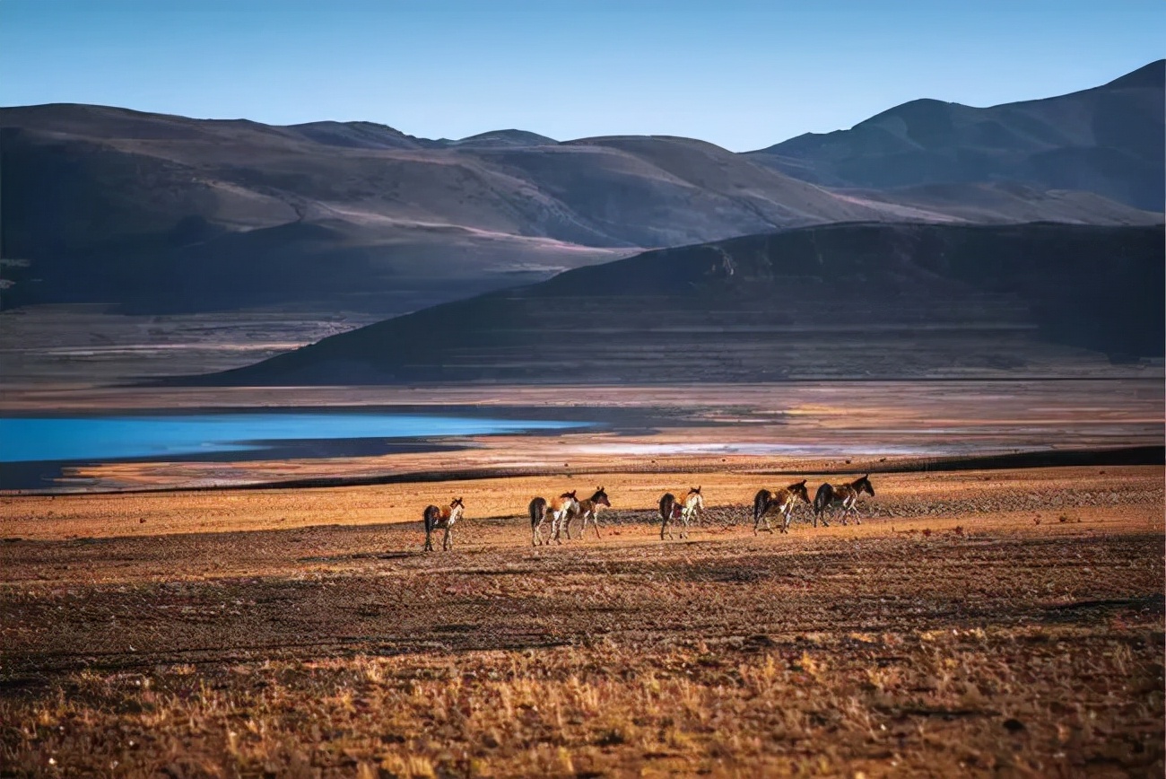 1011月错过它们，等于错过整个秋天！人少清净，随手一拍都是大片