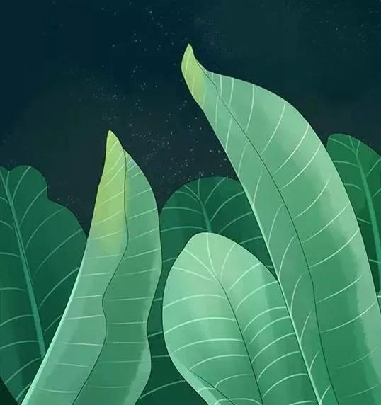 相亲对话经典视频,相亲聊天必问