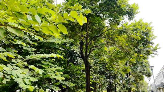 体验度假式甩肉,科学享瘦,7天秒变男神收割机