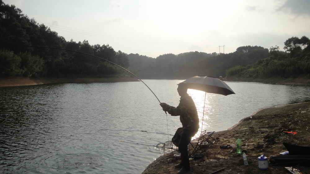 钓鱼的乐趣诗词,钓鱼之乐趣