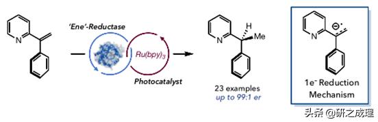 催化周报：10篇子刊，14篇Angew,你想要的前沿都在这里