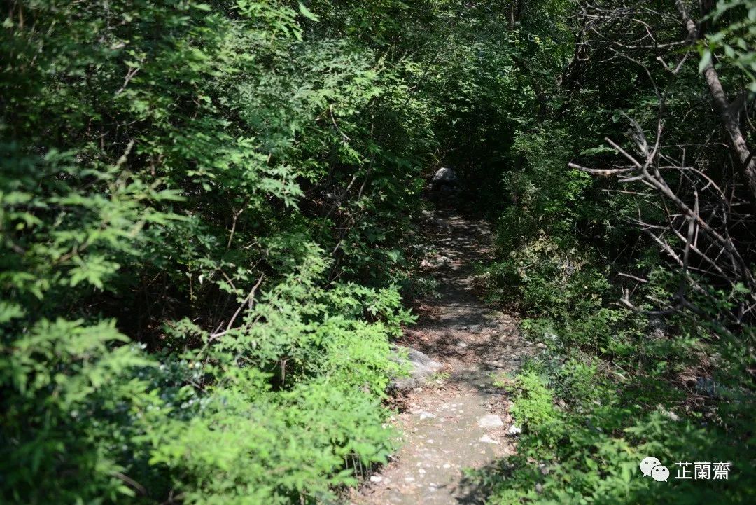 璞珷涔﹂櫌,涔﹂櫌淇濆畾