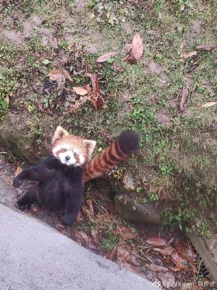 又一位肌肉*男猛**出现了，这个系列永不完结……