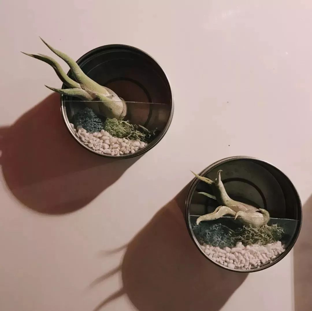 90后花9000元爆改老房子,90后夫妻精心改造精装房