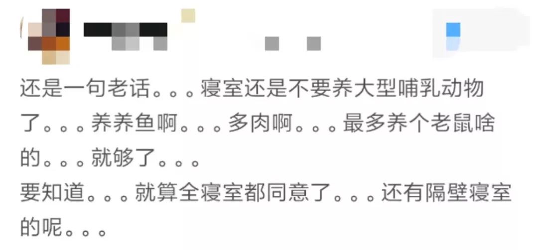 那些年舍友养过的奇葩宠物,你们身边的人都养什么奇怪的宠物