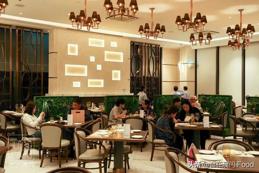 澳门葡记探店,澳门必去的8家美食店