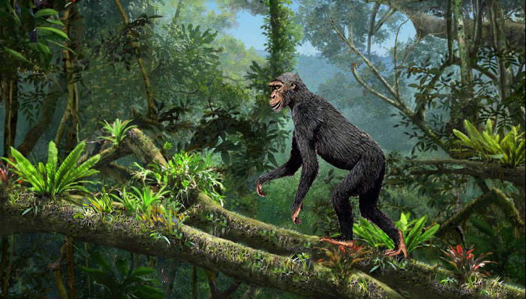 腋毛、阴毛和头发的用处是什么？为什么它们被保留下来了？