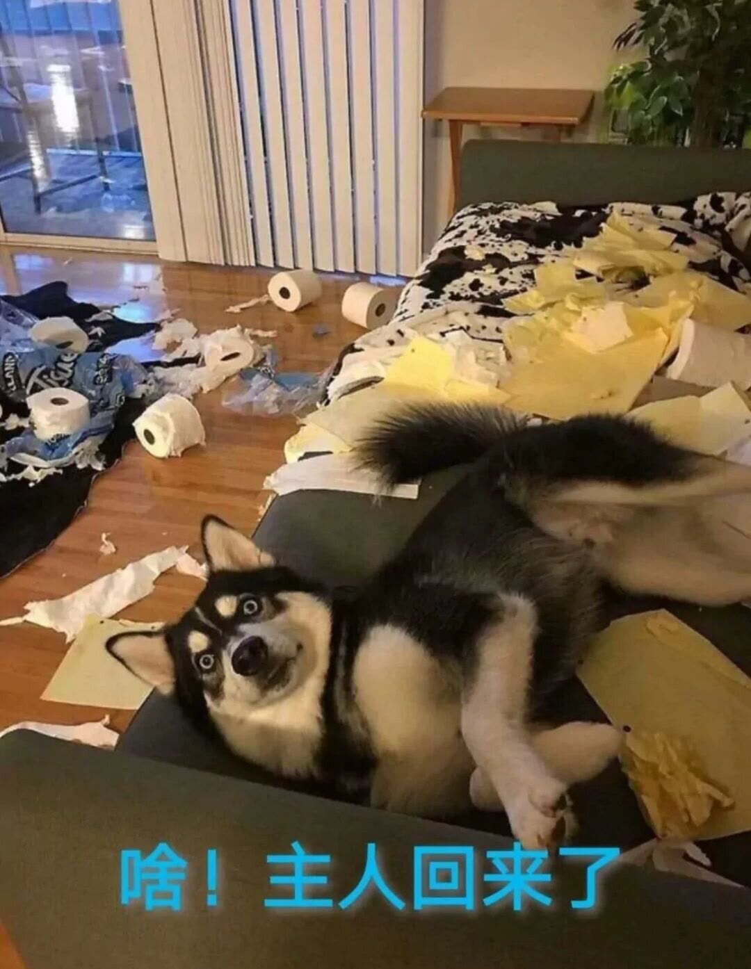 幽默笑话:女闺蜜逗弟弟:我给你做媳妇吧?结果弟弟：我幼儿园有