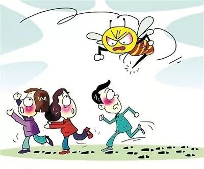 被马蜂蛰过敏性休克的急救措施,儿童被马蜂蛰了看不到毒刺