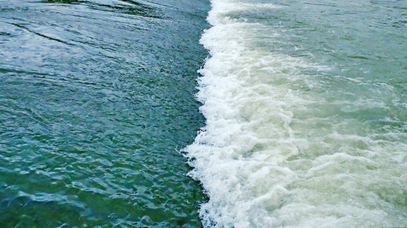 福鼎旅游数据,福鼎纪录片