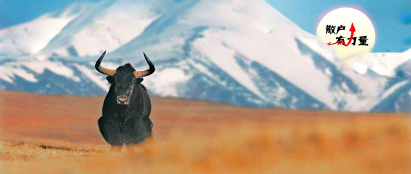 太强势了有好处吗,大盘如期回调新能源