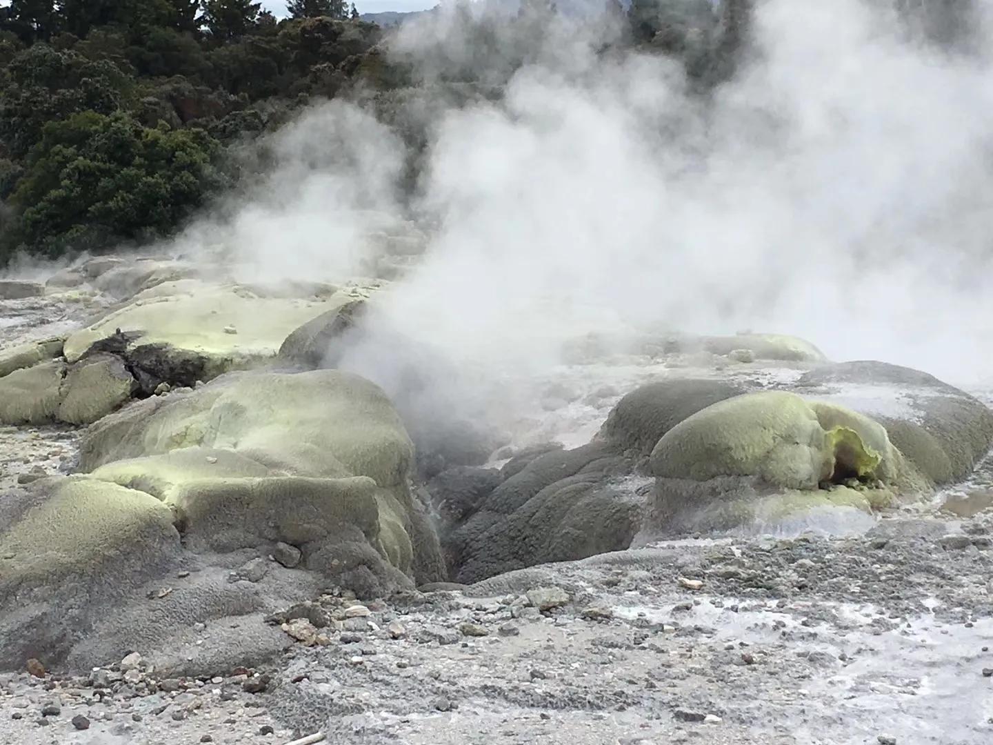 记忆中的旅行之新西兰(北岛)