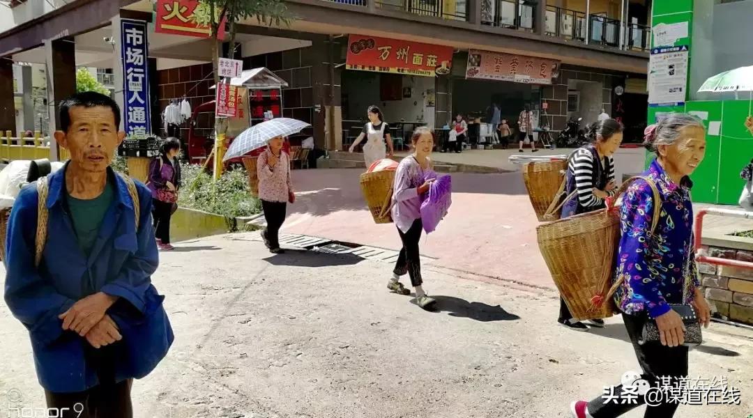 一位候鸟对苏马荡最美小地方的释义,及其未来发展要讲的话
