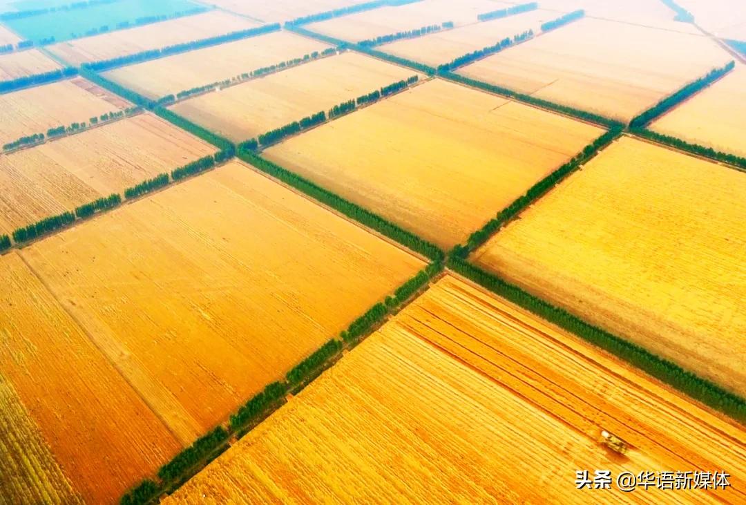 汶上创新驱动高质量发展,汶上新乐章视频