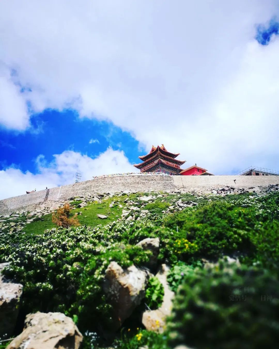 北大研究生的一生经历,北大研究生出家当和尚