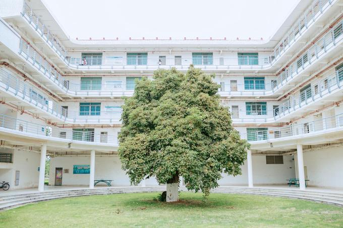 厦门五日游详细攻略来了,厦门五日游攻略详细