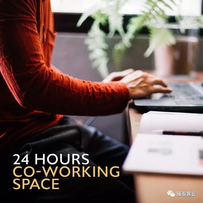 年轻生活！THEORIGIN拉差达性价比之王