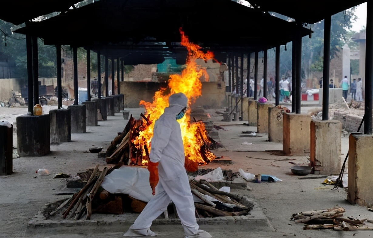 印度毛霉菌病毒最新状况,印度出现罕见病菌毛霉菌感染