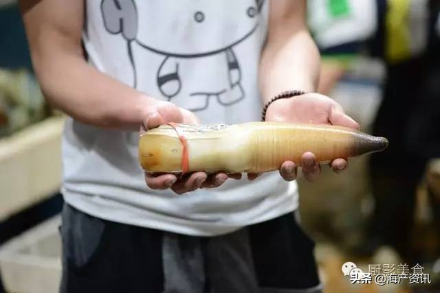 这些诱人的美食你吃过吗,世界上顶级海鲜大全你吃过几种