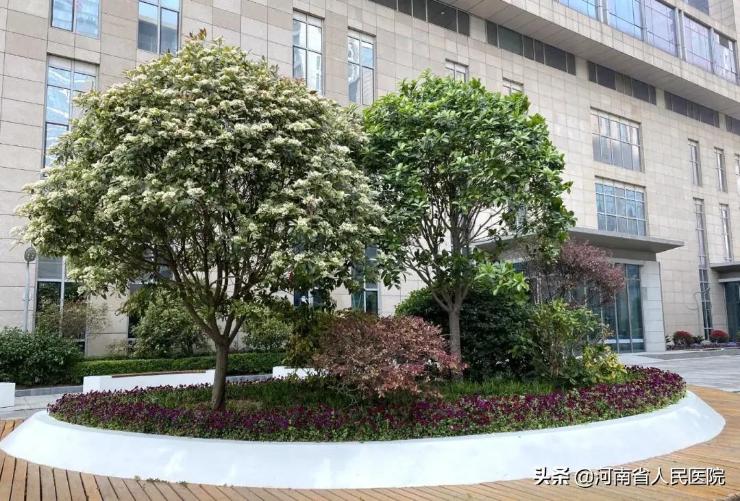 怎么防止肾功能衰竭,肾功能衰竭预防