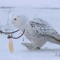 12大用药误区家长务必不要再犯了,这些用药误区家长不要踩