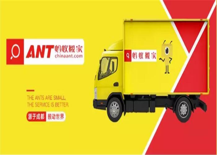 如何鉴别黑蚂蚁真假,怎么辨别蚂蚁链真假