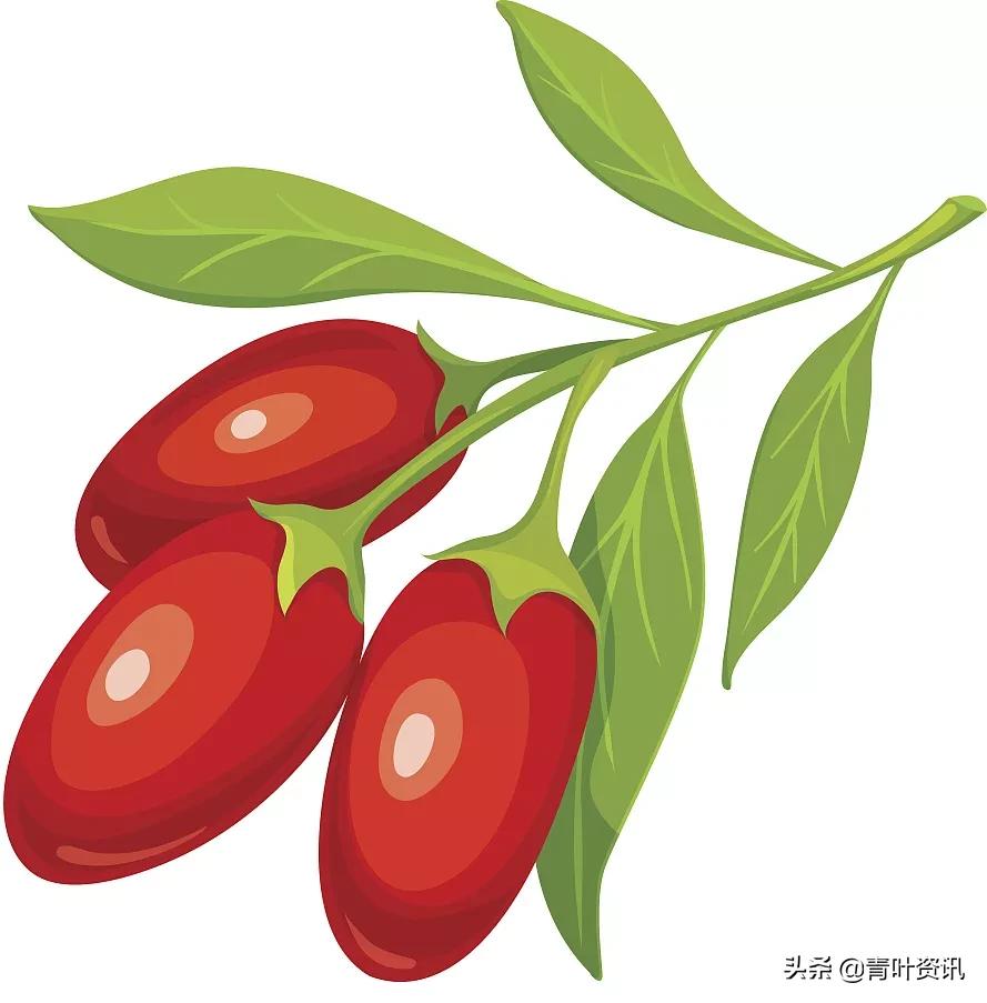 喝枸杞泡水能防止癌症吗,癌症患者喝枸杞有什么作用